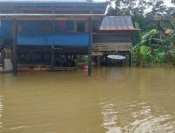Rumah Terendam, Sawah Tenggelam di Desa Anggoro Konawe
