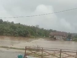 Banjir Anggoro, Ratusan Hektar Tanaman Padi Tenggelam
