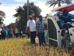Panen Perdana Padi Varietas M70D di Konawe, Targetkan 3 Kali Panen Setahun