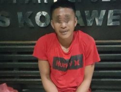 Pria Momea Tongauna Rudapaksa Keponakannya di Rumah Sawah