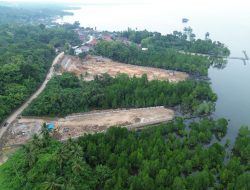 PT Radhika Group Diduga Rusak Hutan Mangrove di Konawe, APH Diminta Bertindak