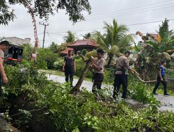 Polres Konawe Evakuasi Pohon Tumbang di Sendang Mulya Sari