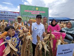 Produktivitas Jagung Konawe Tembus 8,3 Ton per Hektare Tanpa Pupuk Kimia