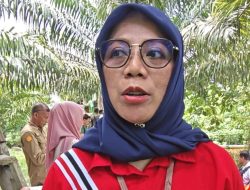 Bank Sultra Dukung Ketahanan Pangan Konawe Melalui KUR dan CSR