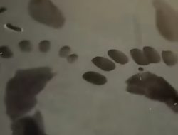 Warga Mowewe Temukan Jejak Kaki di Etalase Toko, Diduga Tuyul Punya Enam Jari