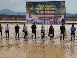 Konawe Jadi Pusat Gerakan Tanam Serempak Nasional, Kementan Targetkan Swasembada Pangan