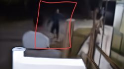 Pelaku Penikaman Polisi di Soropia Konawe Berhasil di Tangkap