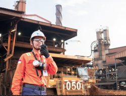 Produksi Nikel Naik 19 Persen, Laba Bersih PT Vale Tumbuh 39 Persen