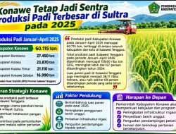 Konawe Tetap Jadi Sentra Produksi Padi Terbesar di Sultra pada Awal 2025