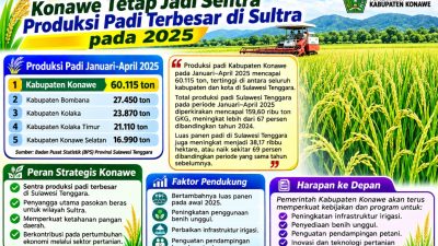 Konawe Tetap Jadi Sentra Produksi Padi Terbesar di Sultra pada Awal 2025