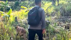 Tim SAR Gabungan Kerahkan Anjing Pelacak Cari Warga Hilang di Konawe