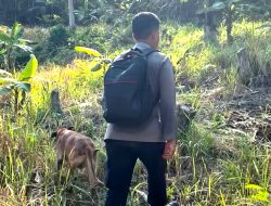 Tim SAR Gabungan Kerahkan Anjing Pelacak Cari Warga Hilang di Konawe
