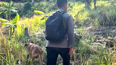 Tim SAR Gabungan Kerahkan Anjing Pelacak Cari Warga Hilang di Konawe