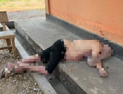 Pegawai BPBD Konawe di Temukan Meninggal Usai Pesta Miras depan Kantor
